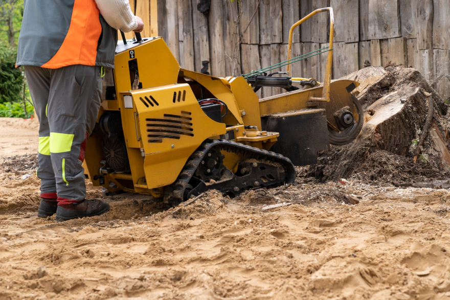 https://www.jwbservicenc.com/wp-content/uploads/2024/09/stump-grinding-vs-removal.webp